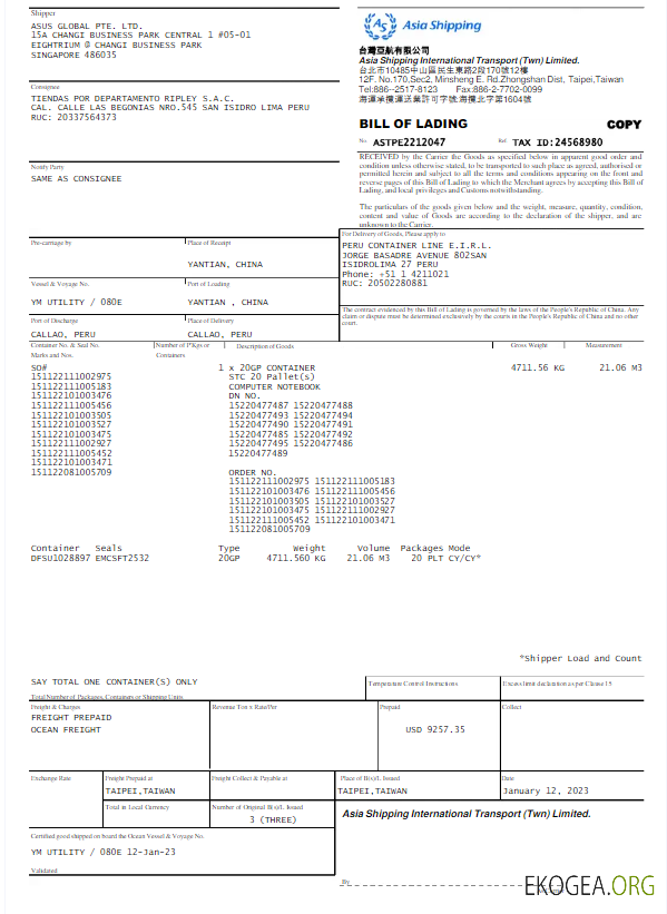 SINGAPORE ASIA SHIPPING utility bill Word and PDF template